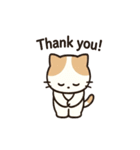 猫と気持ちを伝えようスタンプ（個別スタンプ：10）