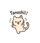 猫と気持ちを伝えようスタンプ（個別スタンプ：15）