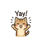 猫と気持ちを伝えようスタンプ（個別スタンプ：16）