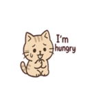 猫と気持ちを伝えようスタンプ（個別スタンプ：25）