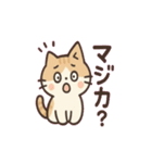 猫と気持ちを伝えようスタンプ（個別スタンプ：31）