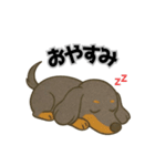 ミニチュアダックスの日常スタンプ第1弾（個別スタンプ：2）