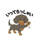 ミニチュアダックスの日常スタンプ第1弾（個別スタンプ：4）