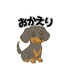 ミニチュアダックスの日常スタンプ第1弾（個別スタンプ：5）