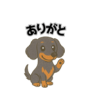 ミニチュアダックスの日常スタンプ第1弾（個別スタンプ：10）