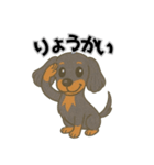 ミニチュアダックスの日常スタンプ第1弾（個別スタンプ：11）