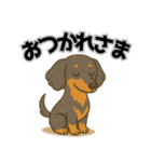 ミニチュアダックスの日常スタンプ第1弾（個別スタンプ：15）