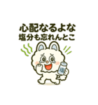 爆笑＆癒し！モコルの関西弁スタンプ40種（個別スタンプ：11）