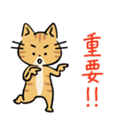 茶トラ猫の勉強するスタンプ6（個別スタンプ：1）