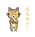 茶トラ猫の勉強するスタンプ6（個別スタンプ：4）