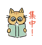 茶トラ猫の勉強するスタンプ6（個別スタンプ：6）