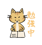 茶トラ猫の勉強するスタンプ6（個別スタンプ：7）