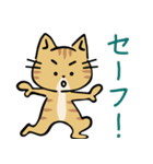 茶トラ猫の勉強するスタンプ6（個別スタンプ：11）