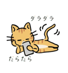 茶トラ猫の勉強するスタンプ6（個別スタンプ：19）