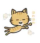 茶トラ猫の勉強するスタンプ6（個別スタンプ：24）