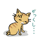 茶トラ猫の勉強するスタンプ6（個別スタンプ：25）