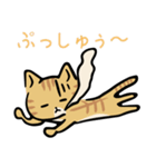 茶トラ猫の勉強するスタンプ6（個別スタンプ：29）
