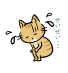 茶トラ猫の勉強するスタンプ6（個別スタンプ：30）