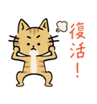 茶トラ猫の勉強するスタンプ6（個別スタンプ：36）