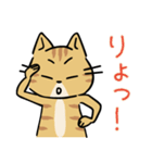 茶トラ猫の勉強するスタンプ6（個別スタンプ：37）