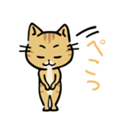 茶トラ猫の勉強するスタンプ6（個別スタンプ：40）