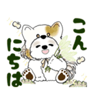 シーズー犬 2025 「猫をかぶりました」（個別スタンプ：2）