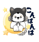 シーズー犬 2025 「猫をかぶりました」（個別スタンプ：5）