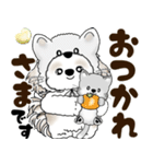 シーズー犬 2025 「猫をかぶりました」（個別スタンプ：6）