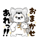 シーズー犬 2025 「猫をかぶりました」（個別スタンプ：17）