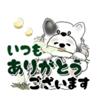 シーズー犬 2025 「猫をかぶりました」（個別スタンプ：22）