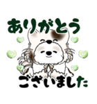 シーズー犬 2025 「猫をかぶりました」（個別スタンプ：23）