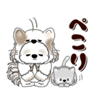 シーズー犬 2025 「猫をかぶりました」（個別スタンプ：24）