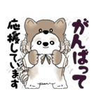 シーズー犬 2025 「猫をかぶりました」（個別スタンプ：25）