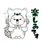 シーズー犬 2025 「猫をかぶりました」（個別スタンプ：27）