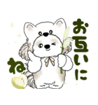 シーズー犬 2025 「猫をかぶりました」（個別スタンプ：28）