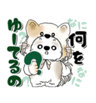 シーズー犬 2025 「猫をかぶりました」（個別スタンプ：29）