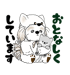 シーズー犬 2025 「猫をかぶりました」（個別スタンプ：31）