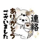 シーズー犬 2025 「猫をかぶりました」（個別スタンプ：34）
