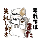シーズー犬 2025 「猫をかぶりました」（個別スタンプ：35）