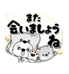 シーズー犬 2025 「猫をかぶりました」（個別スタンプ：37）