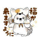 シーズー犬 2025 「猫をかぶりました」（個別スタンプ：40）