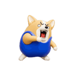 デカ動く 3D猛コーギー silent（個別スタンプ：18）