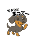 ミニチュアダックス 日常スタンプ第2弾（個別スタンプ：3）