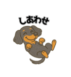 ミニチュアダックス 日常スタンプ第2弾（個別スタンプ：6）