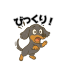 ミニチュアダックス 日常スタンプ第2弾（個別スタンプ：11）