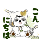 B＆W シーズー犬 2025 「猫をかぶりました」（個別スタンプ：2）
