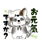 B＆W シーズー犬 2025 「猫をかぶりました」（個別スタンプ：4）