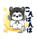 B＆W シーズー犬 2025 「猫をかぶりました」（個別スタンプ：5）