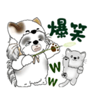 B＆W シーズー犬 2025 「猫をかぶりました」（個別スタンプ：10）