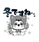 B＆W シーズー犬 2025 「猫をかぶりました」（個別スタンプ：11）